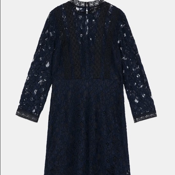 ZARA GUIPURE CONTRASTING LACE BLUE A-LINE DRESS BRAND NEW WITH TAGS LARGE - Picture 4 of 8